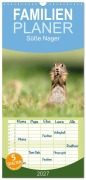 Cover-Bild zum Titel 'Familienplaner 2027 - Süße Nager mit 5 Spalten (Wandkalender, 21 x 45 cm) CALVENDO' von 'Ellenlichtenheldt Ellenlichtenheldt'
