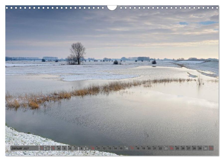 InsideView 6