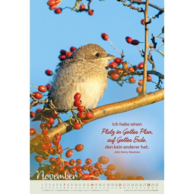 InsideView 11
