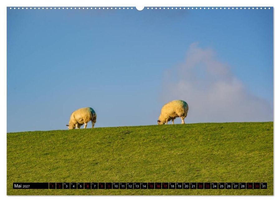InsideView 10