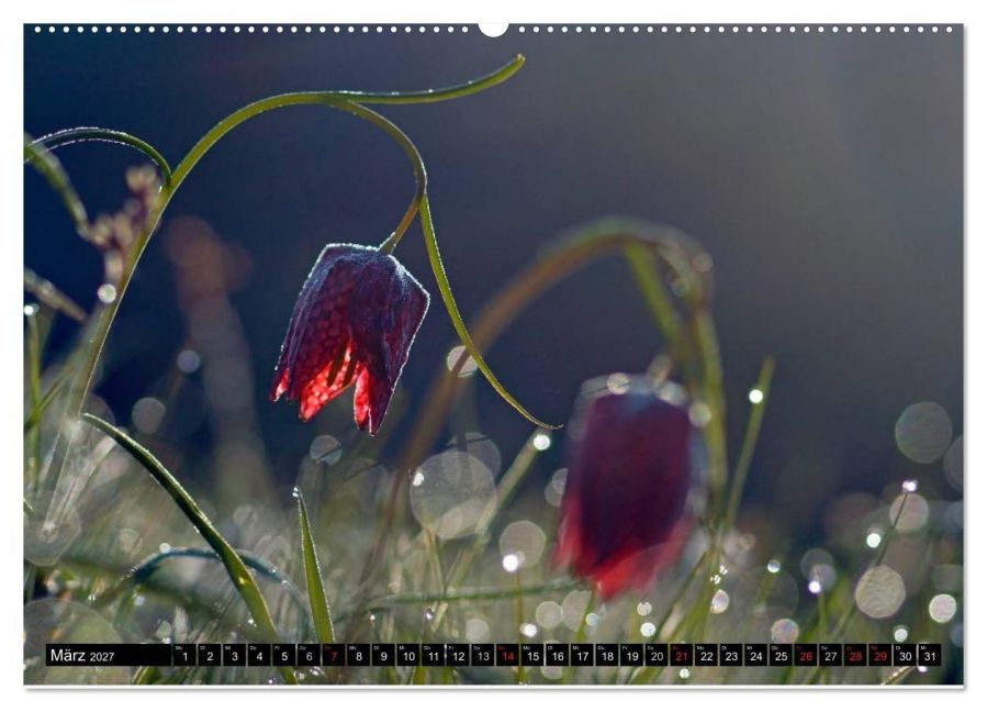 InsideView 7