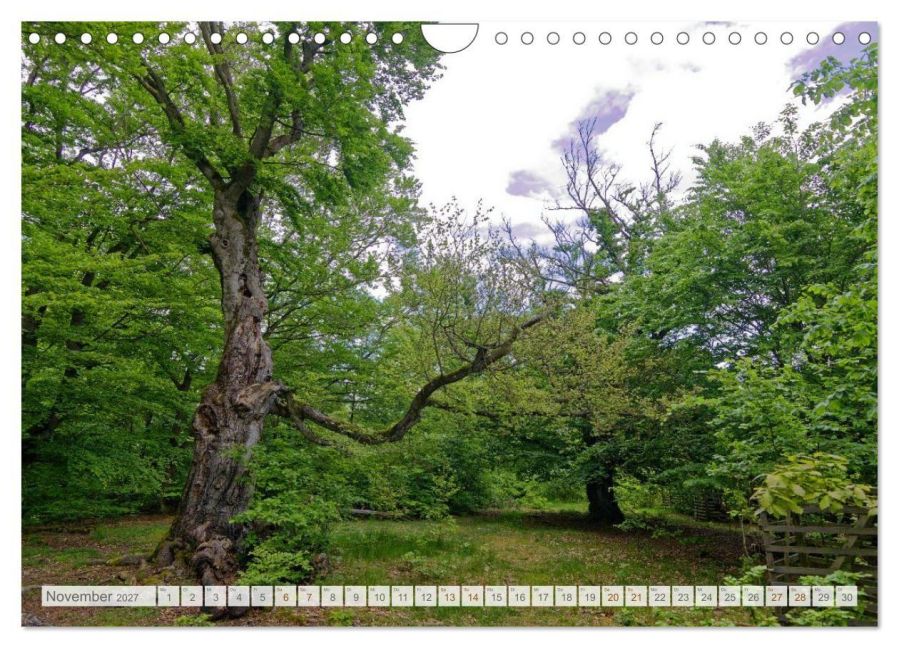 InsideView 3