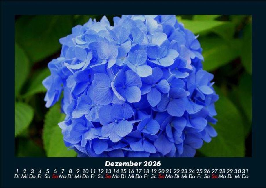 InsideView 4