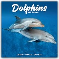 Dolphins - Delfine - Delphine 2025 - 16-Monatskalender - Avonside Publishing Ltd