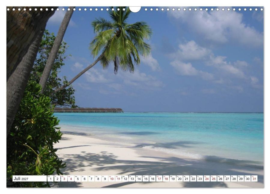 InsideView 12