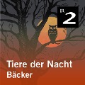 Cover-Bild zum Titel 'Tiere der Nacht: Bäcker' von 'Silke Wolfrum'