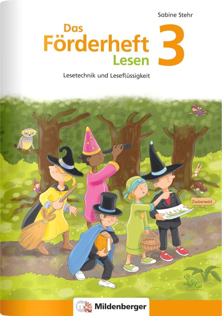 Das Förderheft Lesen 3 - Sabine Stehr