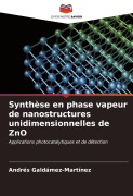 Cover-Bild zum Titel 'Synthèse en phase vapeur de nanostructures unidimensionnelles de ZnO' von 'Andrés Galdámez-Martínez'