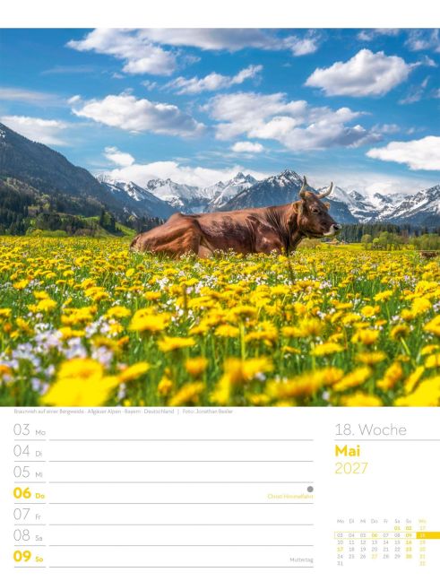 InsideView 22