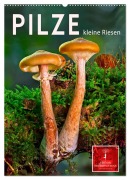 Cover-Bild zum Titel 'Pilze - kleine Riesen (Wandkalender 2026 DIN A2 hoch), CALVENDO Monatskalender' von 'Peter Roder'