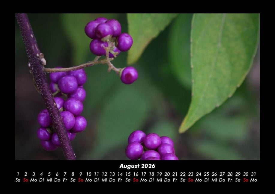 InsideView 12