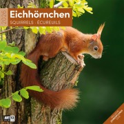 Cover-Bild zum Titel 'Eichhörnchen Broschürenkalender 2026 - 30x30 - Art12' von 'Ackermann Kunstverlag GmbH'