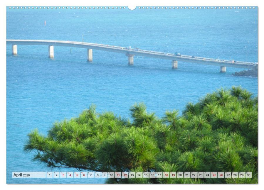 InsideView 8