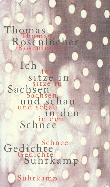 Ich sitze in Sachsen und schau in den Schnee - Thomas Rosenlöcher