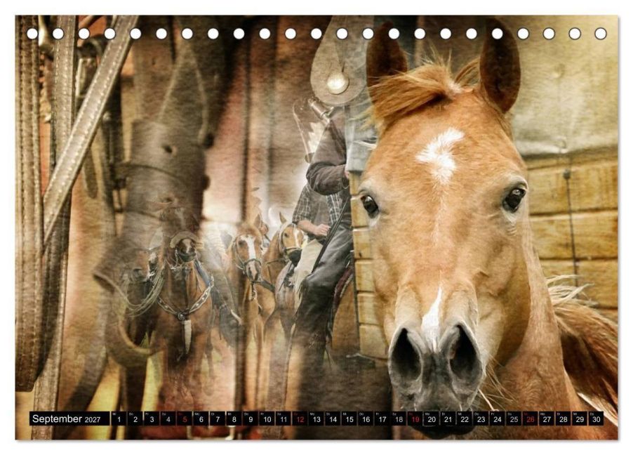 InsideView 14