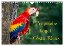 Cover-Bild zum Titel 'Tropische Vögel Costa Ricas (Wandkalender 2026 DIN A4 quer), CALVENDO Monatskalender' von 'Detlef Both'