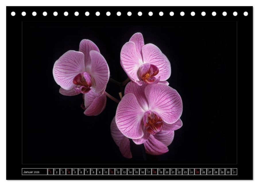 InsideView 6