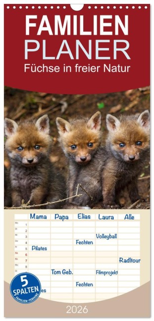 Familienplaner 2026 - Füchse in freier Natur mit 5 Spalten (Wandkalender, 21 x 45 cm) CALVENDO - Ulrich Hopp