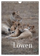 Cover-Bild zum Titel 'Löwen in Sabi Sands (Wandkalender 2026 DIN A4 hoch), CALVENDO Monatskalender' von 'Photografie-Iam. Ch Photografie-Iam. Ch'