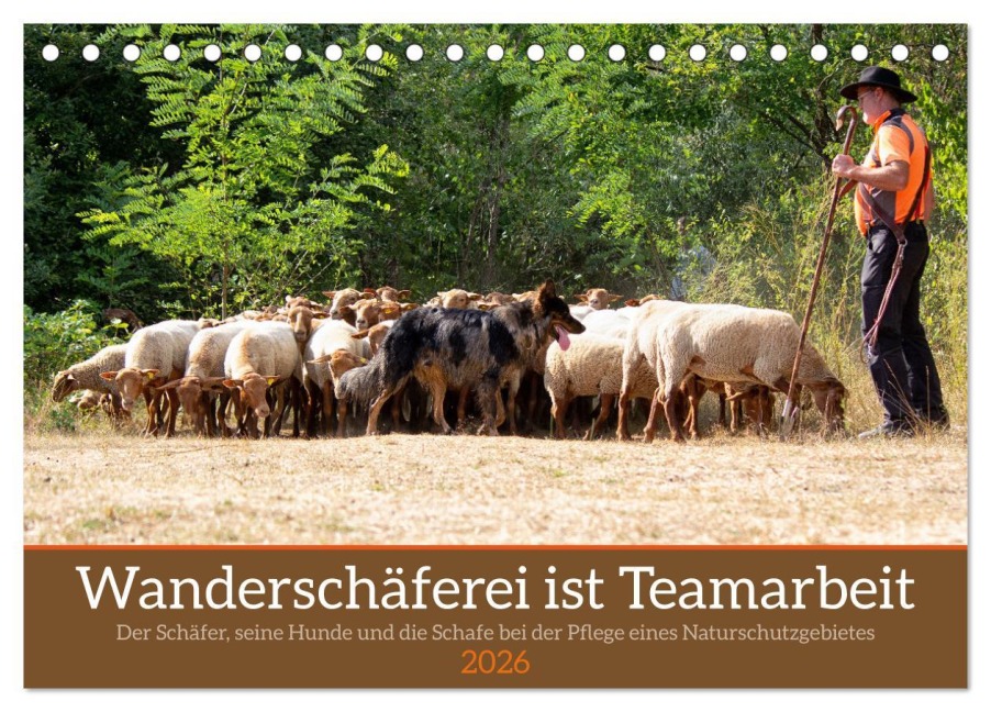 Wanderschäferei ist Teamarbeit (Tischkalender 2026 DIN A5 quer), CALVENDO Monatskalender - Marion Sixt