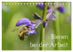 Bienen bei der Arbeit (Tischkalender 2026 DIN A5 quer), CALVENDO Monatskalender - Zlatko Kropf