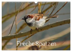 Freche Spatzen (Wandkalender 2026 DIN A3 quer), CALVENDO Monatskalender - Kattobello Kattobello