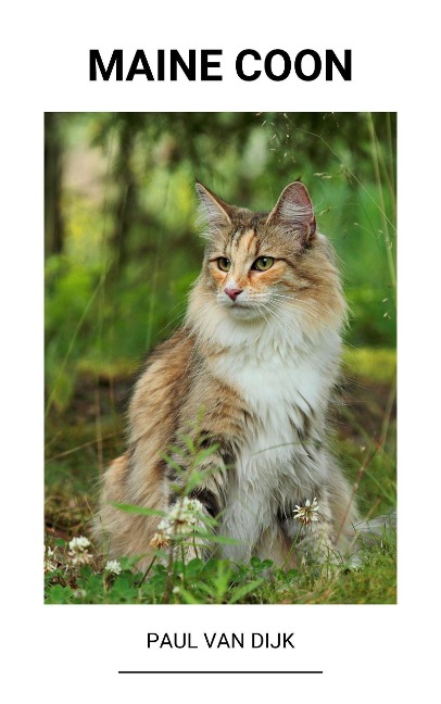 Maine Coon - Paul van Dijk
