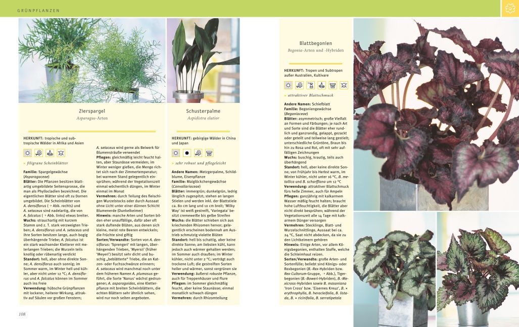 InsideView 5