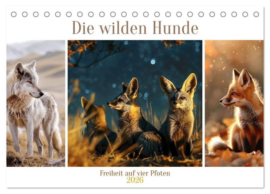 Die wilden Hunde (Tischkalender 2026 DIN A5 quer), CALVENDO Monatskalender - Daniela Tapper