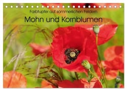 Farbtupfer auf sommerlichen Feldern - Mohn und Kornblumen (Tischkalender 2026 DIN A5 quer), CALVENDO Monatskalender - Anja Frost