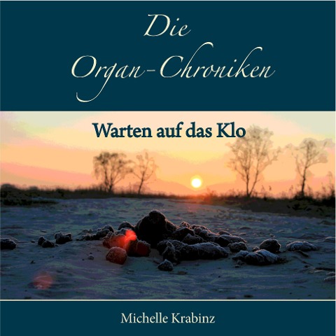 Die Organ-Chroniken - Michelle Krabinz, Rebecca Hinz