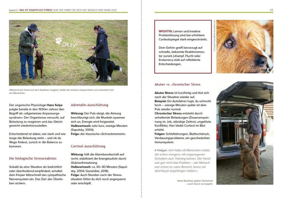 InsideView 5