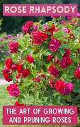 Rose Rhapsody : The Art of Growing and Pruning Roses - Ruchini Kaushalya