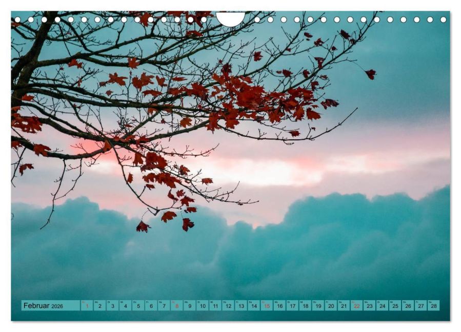 InsideView 7