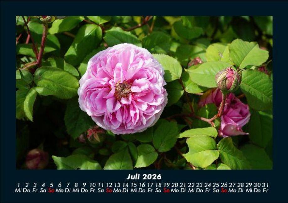 InsideView 11