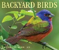 Backyard Birds 2025 6.2 X 5.4 Box Calendar - Willow Creek Press