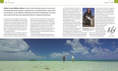 InsideView 3