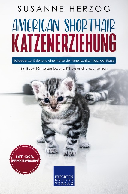 American Shorthair Katzenerziehung - Ratgeber zur Erziehung einer Katze der Amerikanisch Kurzhaar Rasse - Susanne Herzog