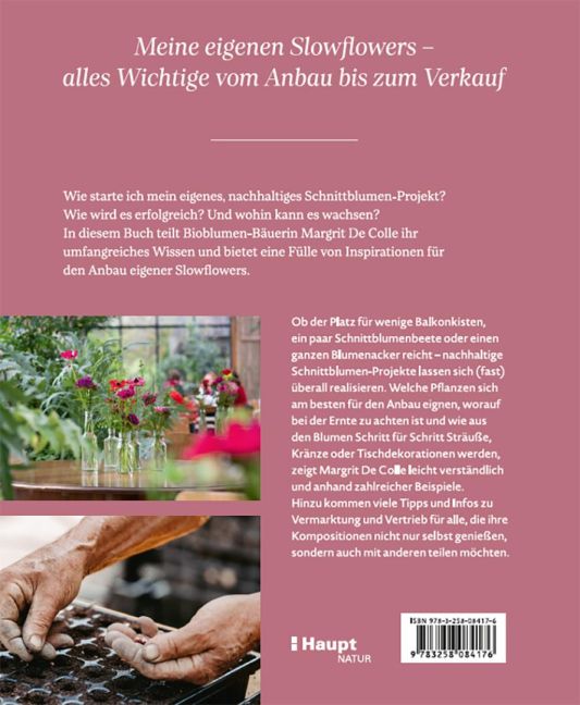 InsideView 5