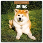 Cover-Bild zum Titel 'Akitas - Akita 2027 - 16-Monatskalender' von 'Robin Red'