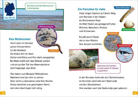 InsideView 2