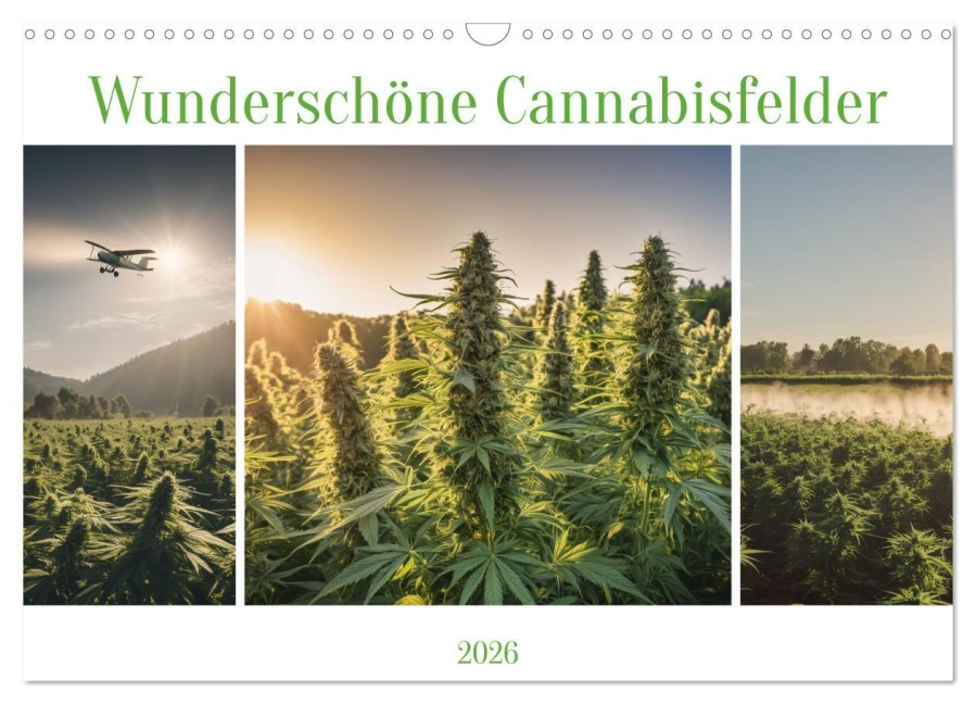 Wunderschöne Cannabisfelder (Wandkalender 2026 DIN A3 quer), CALVENDO Monatskalender - Stanley Hinz