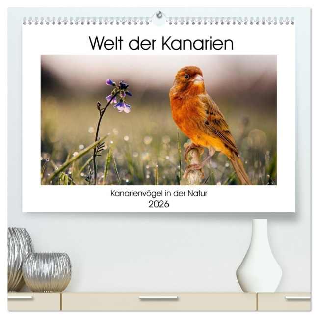 Welt der Kanarien (hochwertiger Premium Wandkalender 2026 DIN A2 quer), Kunstdruck in Hochglanz - AkremaFotoArt AkremaFotoArt