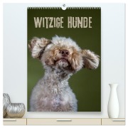 Witzige Hunde (hochwertiger Premium Wandkalender 2025 DIN A2 hoch), Kunstdruck in Hochglanz - Birte Zabel