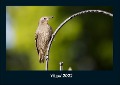 Vögel 2022 Fotokalender DIN A4 - Tobias Becker