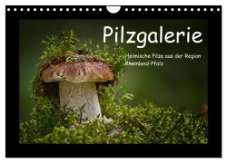Pilzgalerie - Heimische Pilze aus der Region Rheinland-Pfalz (Wandkalender 2025 DIN A4 quer), CALVENDO Monatskalender - Beate Wurster