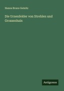Cover-Bild zum Titel 'Die Urnenfelder von Strehlen und Grossenhain' von 'Hanns Bruno Geinitz'