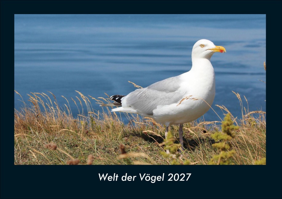 Welt der Vögel 2027 Fotokalender DIN A4 - Tobias Schmitt, Kevin Heber