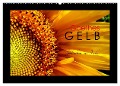 Goethes Gelb Gedanken zur Farbe (Wandkalender 2024 DIN A2 quer), CALVENDO Monatskalender - Lucy M. Laube