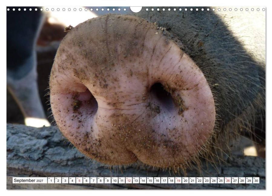 InsideView 14